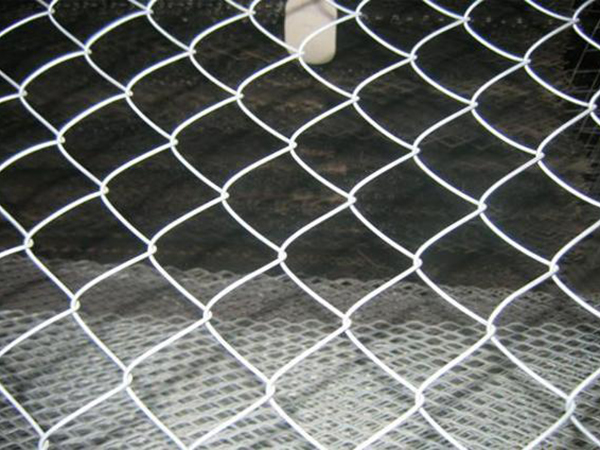 濰坊勾花編織圍網圖片2 濰坊勾花編織圍網圖片2