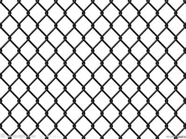 濰坊勾花編織圍網圖片4 濰坊勾花編織圍網圖片4