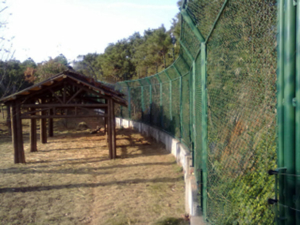 動物園防護柵欄圖片2