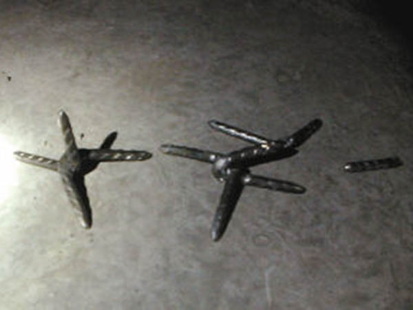 太原鐵蒺藜圖片2