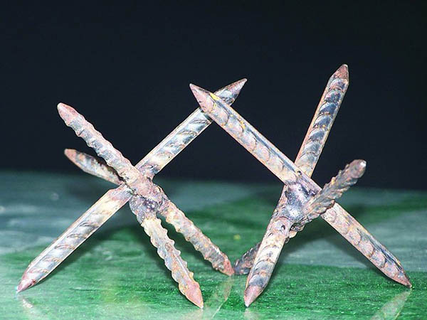 太原鐵蒺藜圖片3