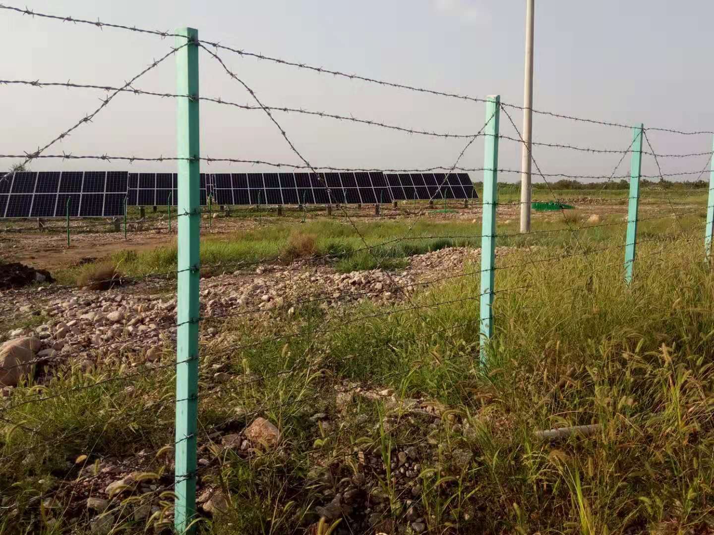 濰坊刺繩護欄網圖片4