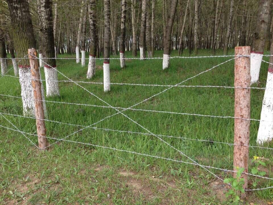 濰坊刺繩護欄網圖片5