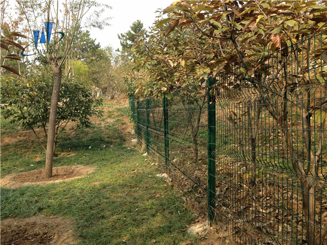 小區(qū)隔離網(wǎng)圖片4 小區(qū)隔離網(wǎng)圖片4