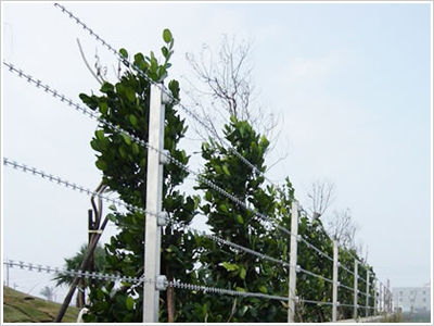 刀片/刺繩護欄網