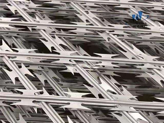 濰坊刀片刺網(wǎng)護(hù)欄圖片2 濰坊刀片刺網(wǎng)護(hù)欄圖片2